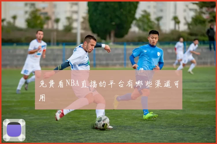 免费看NBA直播的平台有哪些渠道可用