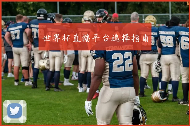 世界杯直播平台选择指南