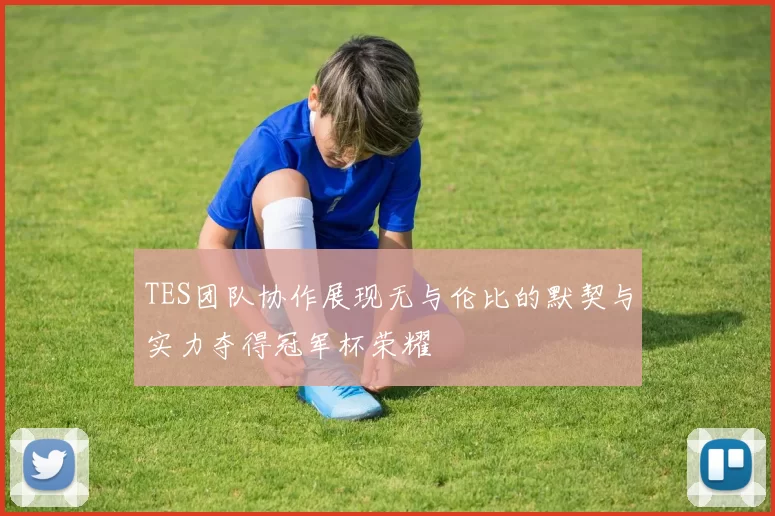 TES团队协作展现无与伦比的默契与实力夺得冠军杯荣耀