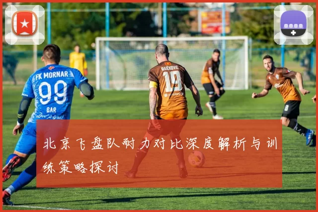 北京飞盘队耐力对比深度解析与训练策略探讨