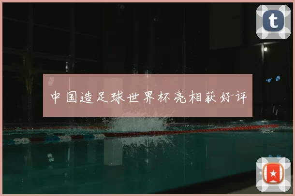中国造足球世界杯亮相获好评