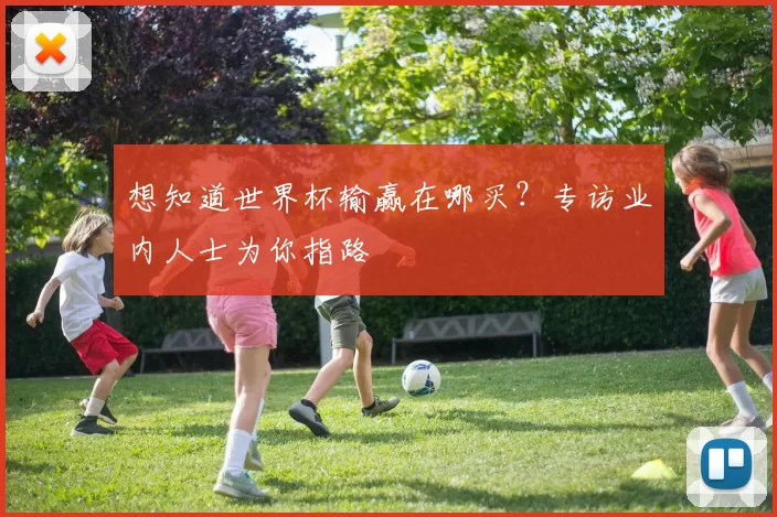 想知道世界杯输赢在哪买?专访业内人士为你指路