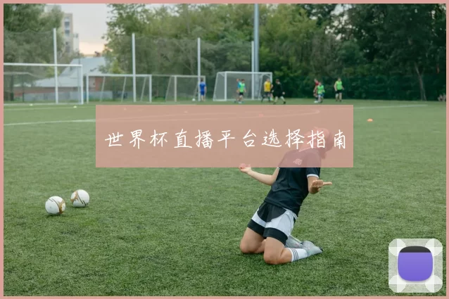 世界杯直播平台选择指南