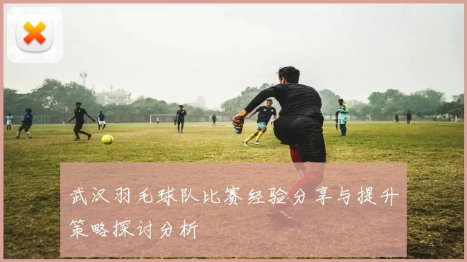 武汉羽毛球队比赛经验分享与提升策略探讨分析