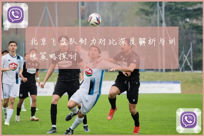 北京飞盘队耐力对比深度解析与训练策略探讨