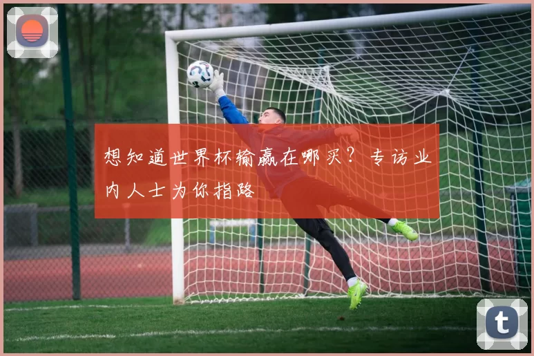 想知道世界杯输赢在哪买？专访业内人士为你指路
