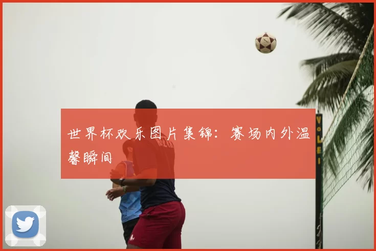 世界杯欢乐图片集锦：赛场内外温馨瞬间
